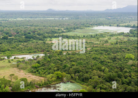 Blick auf die Landschaft und den Wald von Pidurangala Rock, Sigiriya, Sri Lanka Stockfoto