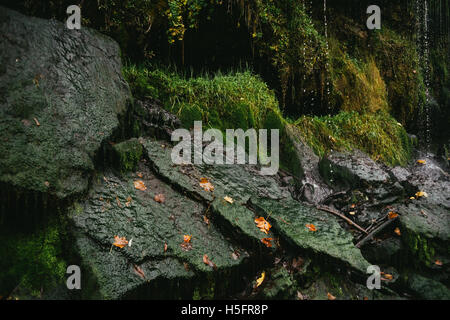 Fallende Wassertropfen auf bemoosten Steinen, Wasserfall closeup Stockfoto