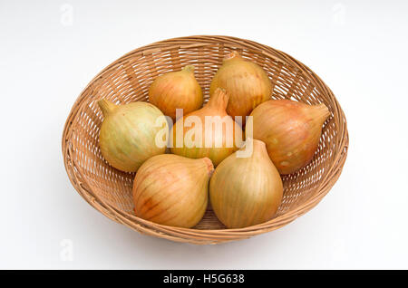 Studio Bild von sieben Zwiebeln in Runde Weidenkorb angeordnet Stockfoto