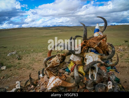 Haufen von Tierschädeln in der Nähe von kleinen alten tibetischen Kloster auf dem Heiligen See Manasarovar, Tibet Stockfoto