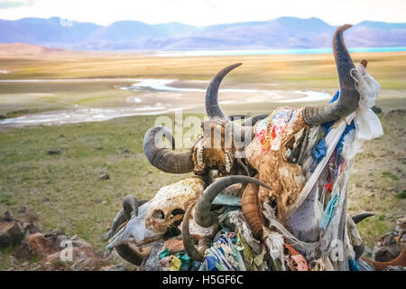 Haufen von Tierschädeln in der Nähe von kleinen alten tibetischen Kloster auf dem Heiligen See Manasarovar, Tibet Stockfoto