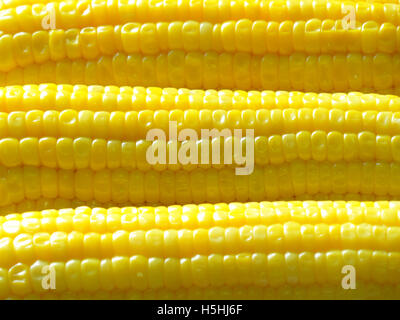 Gekochte gelbe Zuckermais, close-up für Hintergrund, Textur Stockfoto