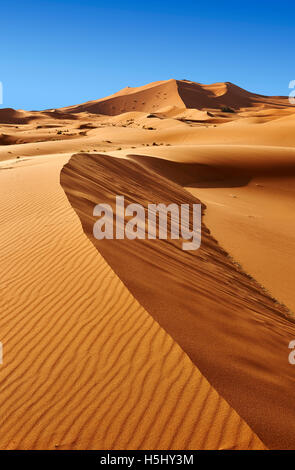 Sahara-Sand-Dünen von Erg Chebbi, Merzouga, Marokko, Afrika Stockfoto