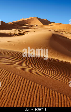 Sahara-Sand-Dünen von Erg Chebbi, Merzouga, Marokko, Afrika Stockfoto