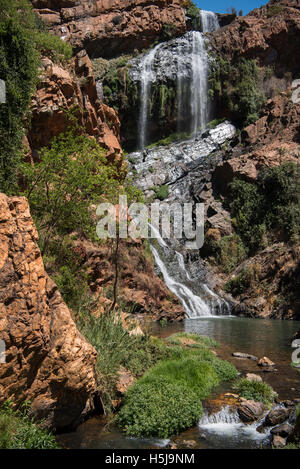 Der wunderschöne Wasserfall im Walter Sisulu botanischen Garten Stockfoto