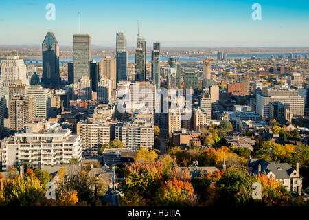 Farben des Herbstes: Herbstlaub und Skyline von Montreal aus Kondiaronk Belvedere auf Mont-Royal Mountain (2016) Stockfoto