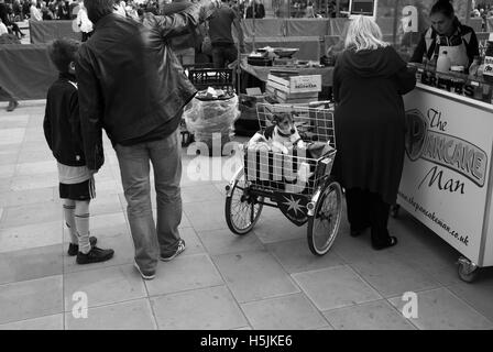 Hund im Zyklus Korb, die Kings Road, Chelsea, England Stockfoto
