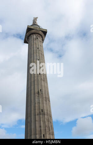 Lord Hill Spalte in Shrewsbury gebaut, um die Leistungen von Rowland Hill feiern Stockfoto