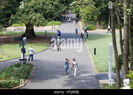Büroangestellte Mittagessen Zeit nehmen Spaziergang durch Sydney Royal Botanic Gardens, Stadtzentrum von Sydney, Australien Stockfoto
