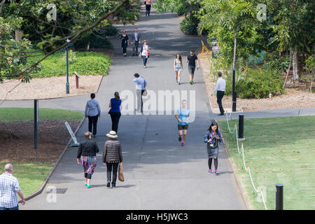 Büroangestellte machen einen Spaziergang durch den Sydney Royal Botanic Garden im Stadtzentrum von Sydney, Australien Stockfoto