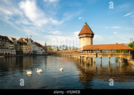 Altstadt von Luzern mit berühmten Kapellbrücke und dem Vierwaldstättersee im Kanton Luzern, Schweiz Stockfoto