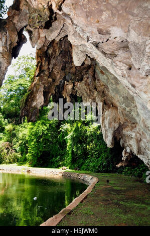 City Park Höhlen, Phangnga Stockfoto