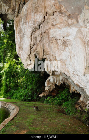 City Park Höhlen, Phangnga Stockfoto