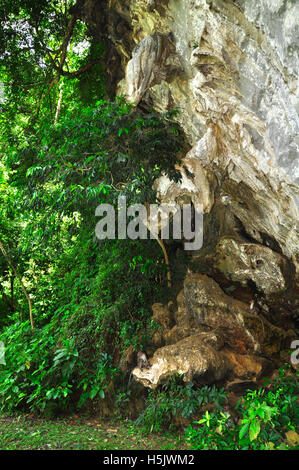 City Park Höhlen, Phangnga Stockfoto