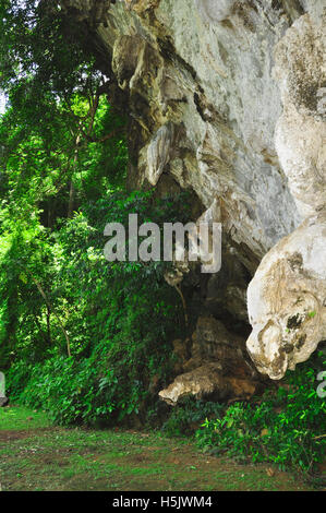 City Park Höhlen, Phangnga Stockfoto