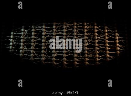 Neuronales Netz. Neuron Netzwerk. 3D illustration Stockfoto