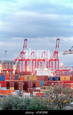 Chinesische Dockkräne und Containerhafen: Britische Exporte und Importe werden in Seaforth Docks, Liverpool2, Merseyside, Großbritannien entladen und geladen Stockfoto