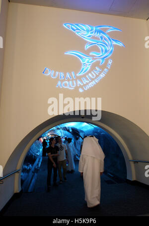 Dubai Aquarium und der Unterwasserzoo, Salzwasser-Aquarium in der Dubai Mall, Dubai, Vereinigte Arabische Emirate, Naher Osten Stockfoto