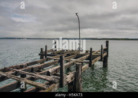 Alte Mole in Cobh Stockfoto