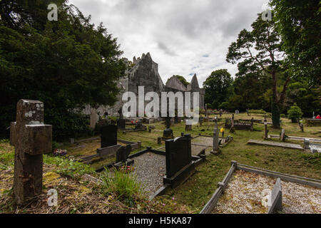 Muckross Abbey Killarney Stockfoto