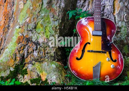 Eine rote und gelbe Hofner Akustikgitarre lehnte sich gegen einen Baumstamm in einem park Stockfoto