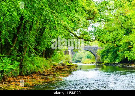 Eine Brücke über den Rocky River Dart am Dartmeet in Devon. Stockfoto