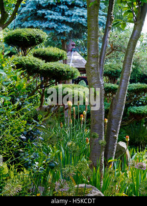 Reines Land Meditationszentrum und japanischer Garten in der Nähe von Newark Nottinghamshire England UK Stockfoto