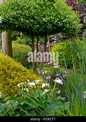 Reines Land Meditationszentrum und japanischer Garten in der Nähe von Newark Nottinghamshire England UK Stockfoto