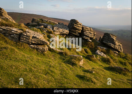 Hookney Tor, Dartmoor, Devon, UK. Stockfoto