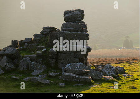 Hookney Tor, Dartmoor, Devon, UK. Stockfoto