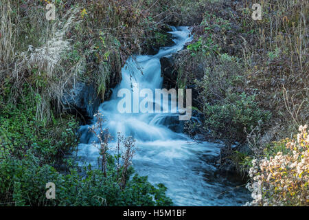 Wasserfall mit fließenden Wildwasser und grünen Büschen und Sträuchern in Neufundland Kanada Stockfoto