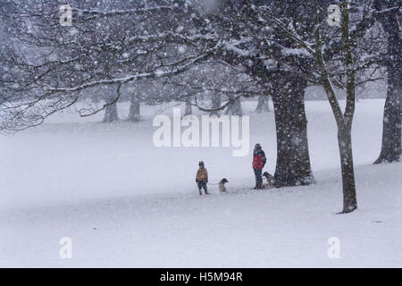 Figuren im Schnee in Christchurch Park Ipswich Stockfoto