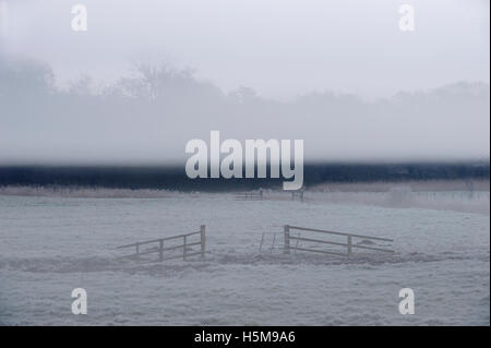 Nebel über den Fluß Waveney bei Herringfleet, Schicht von Nebel über Felder und Röhrichten, North Suffolk, Suffolk Broads Einfrieren, Stockfoto