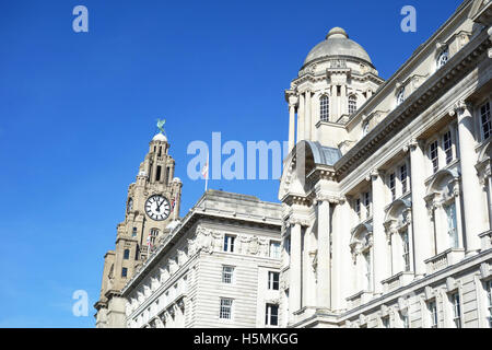 Die Leber und die Cunard-Gebäude auf dem Molenkopf in Liverpool, Merseyside, UK Stockfoto