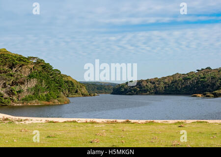 Loe Pool in der Nähe von Helston in Cornwall, Großbritannien Stockfoto