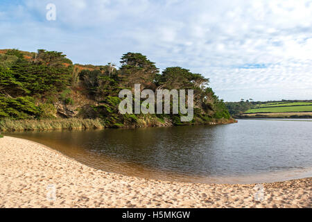 Loe Pool in der Nähe von Helston in Cornwall, Großbritannien Stockfoto