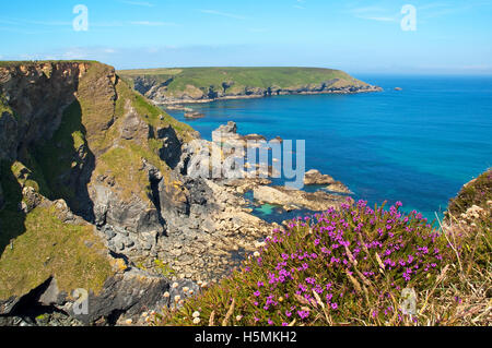 Höllen-Mund-Bucht auf den nördlichen Klippen in der Nähe von Portreath in Cornwall, England, UK Stockfoto