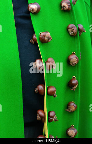 Conker Königs Mantel Detail bei den Weltmeisterschaften in Southwick, Northants, 9. Oktober 2016 Conker. Fotos der "Telegraph" von John Robertson. Stockfoto
