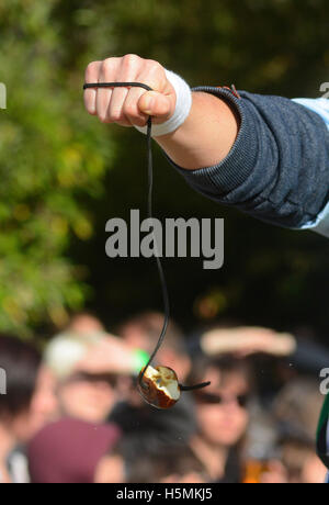 Zertrümmerte Conker bei den Weltmeisterschaften in Southwick, Northants., 9. Oktober 2016 Conker. Fotos der "Telegraph" von John Robertson. Stockfoto