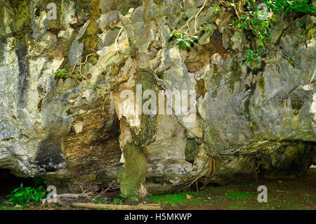 City Park Höhlen, Phangnga Stockfoto