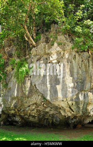 City Park Höhlen, Phangnga Stockfoto