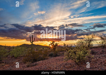 Farbenfroher Sonnenuntergang und Saguaro Kaktus in einer Sonoran Desert Landschaft in Arizona Stockfoto