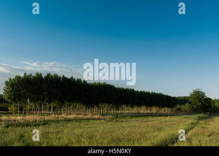 Monreal del Campo. Jiloca Region. Teruel. Spanien Stockfoto