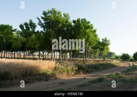 Monreal del Campo. Jiloca Region. Teruel. Spanien Stockfoto