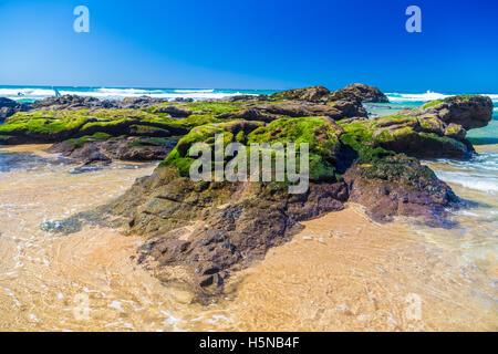 Felsen bedeckt in Moos auf Guincho Strand am Atlantik in der Nähe von Lissabon, Portugal Stockfoto