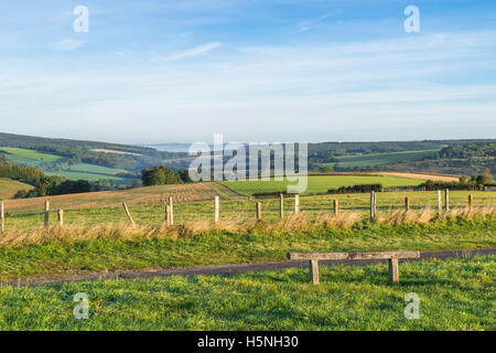 Blick über das Goodwood in chichester Stockfoto