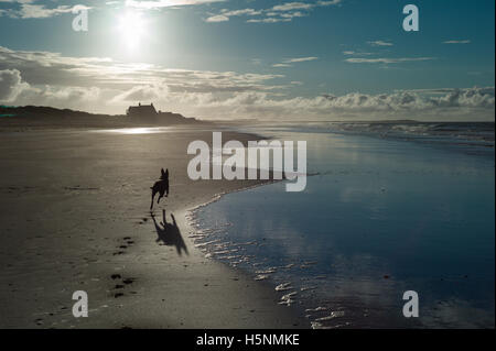 Brancaster Strand und Dünen, Norfolk, England. Stockfoto