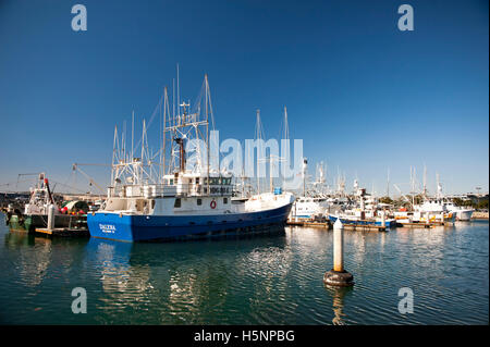 San Diego California Bootfahren Marina Stockfoto