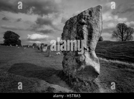 Avebury Henge und Steinkreise sind eines der größten Wunder der prähistorischen Großbritannien. Stockfoto