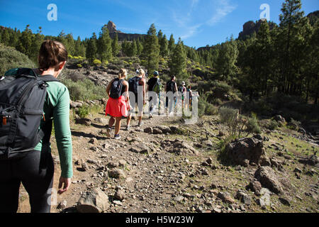 Eine Gruppe von Menschen ist auf einer Wanderung in den Bergen. Stockfoto